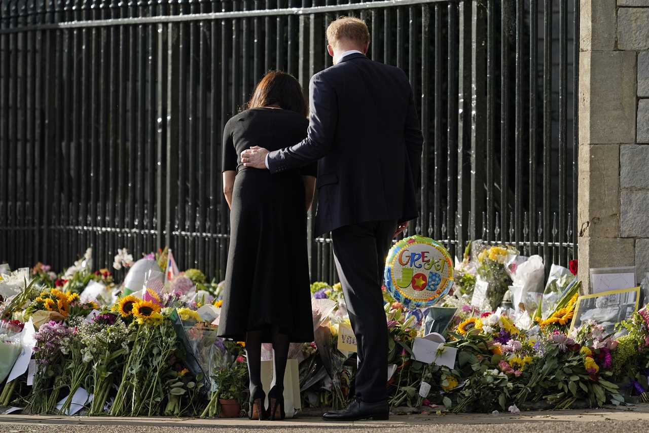 Meghan Markle offering Prince Harry total support as he’s ‘overwhelmed by grief’, body language expert claims