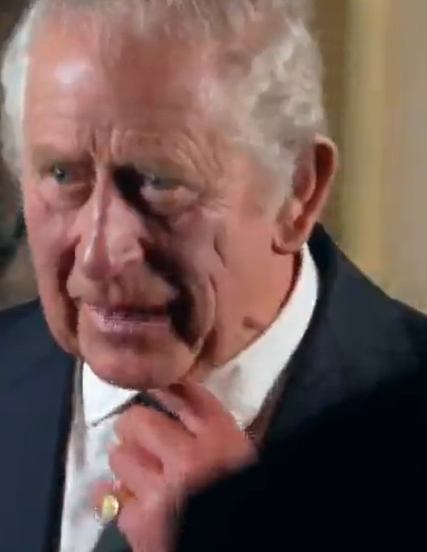 Behind-the-scenes of King Charles’ moving tribute to the Queen as he asks staff ‘am I done?’