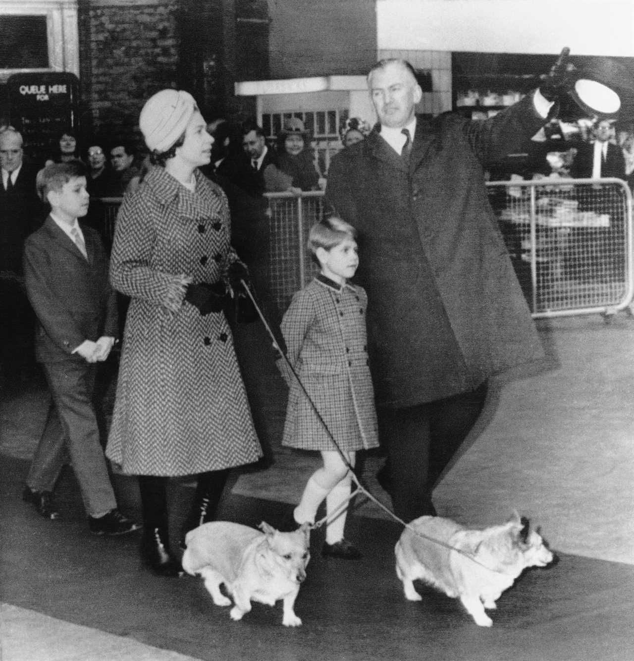 Prince Andrew to be left Queen’s three surviving corgis as fate of Her Majesty’s beloved pets is confirmed
