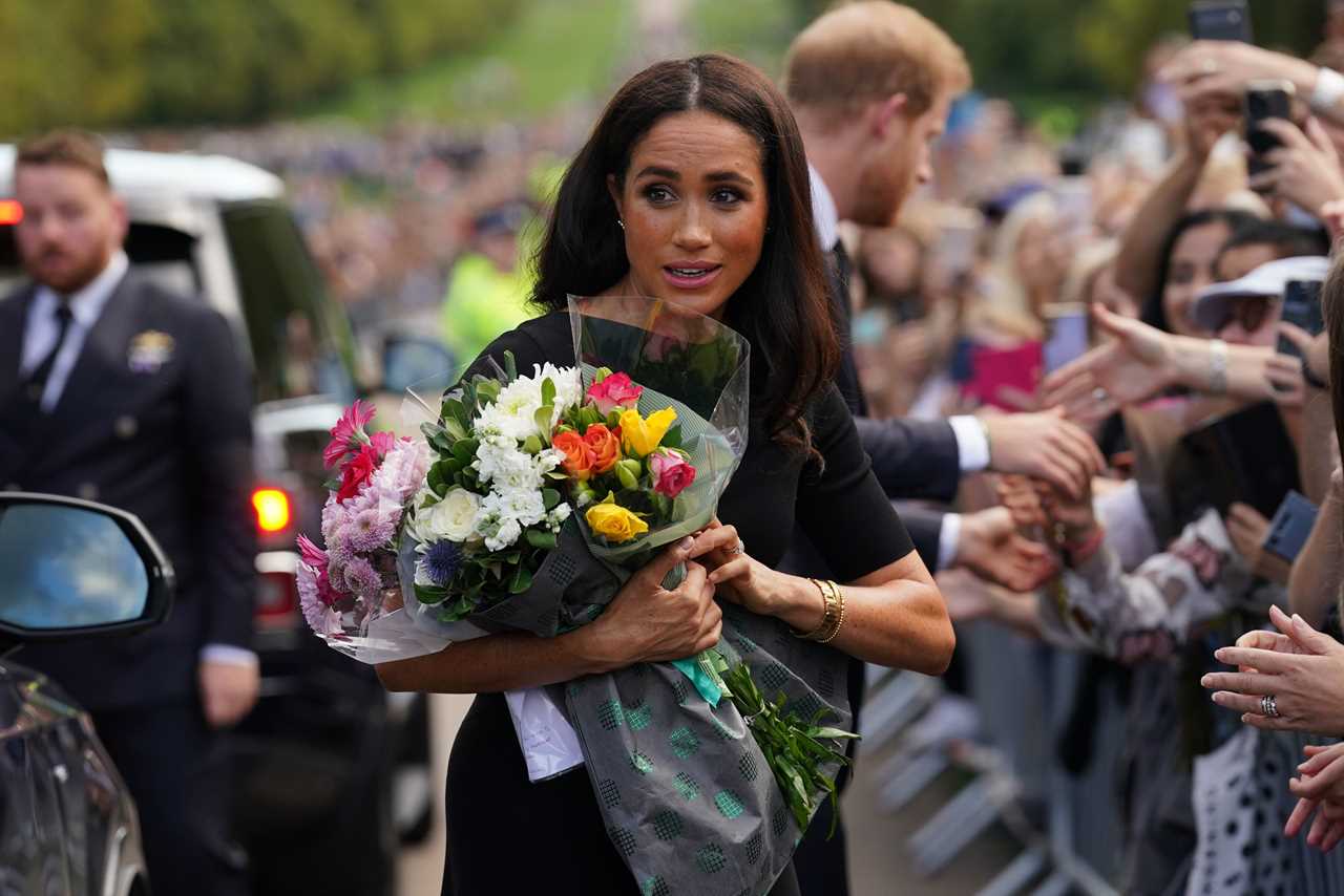 Touching close-up video of Meghan Markle hugging fan reveals sweet comment she made about Royal Family