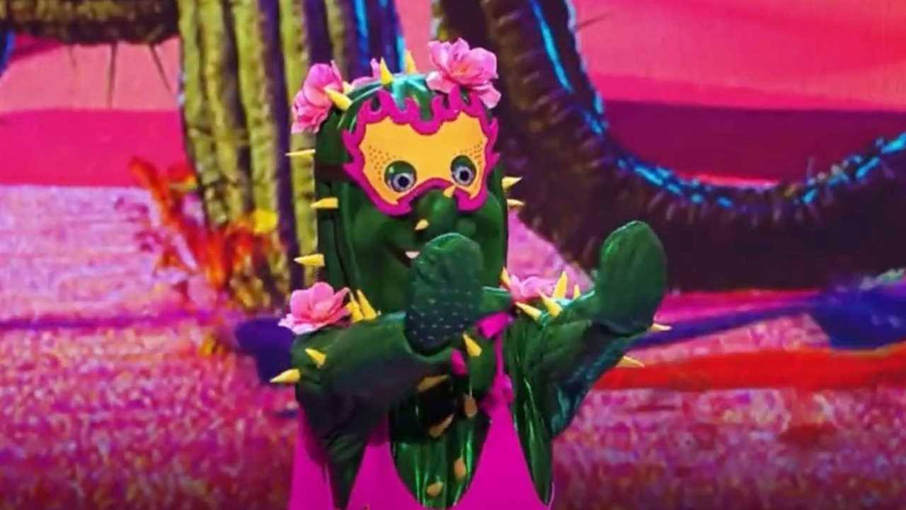 Masked Dancer fans ‘work out’ that Busted star is behind Cactus costume