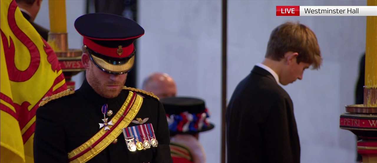 Prince Harry finally gets to wear military uniform as he guards Queen coffin with William and her other grandchildren