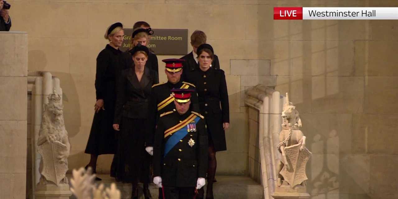 Prince Harry finally gets to wear military uniform as he guards Queen coffin with William and her other grandchildren