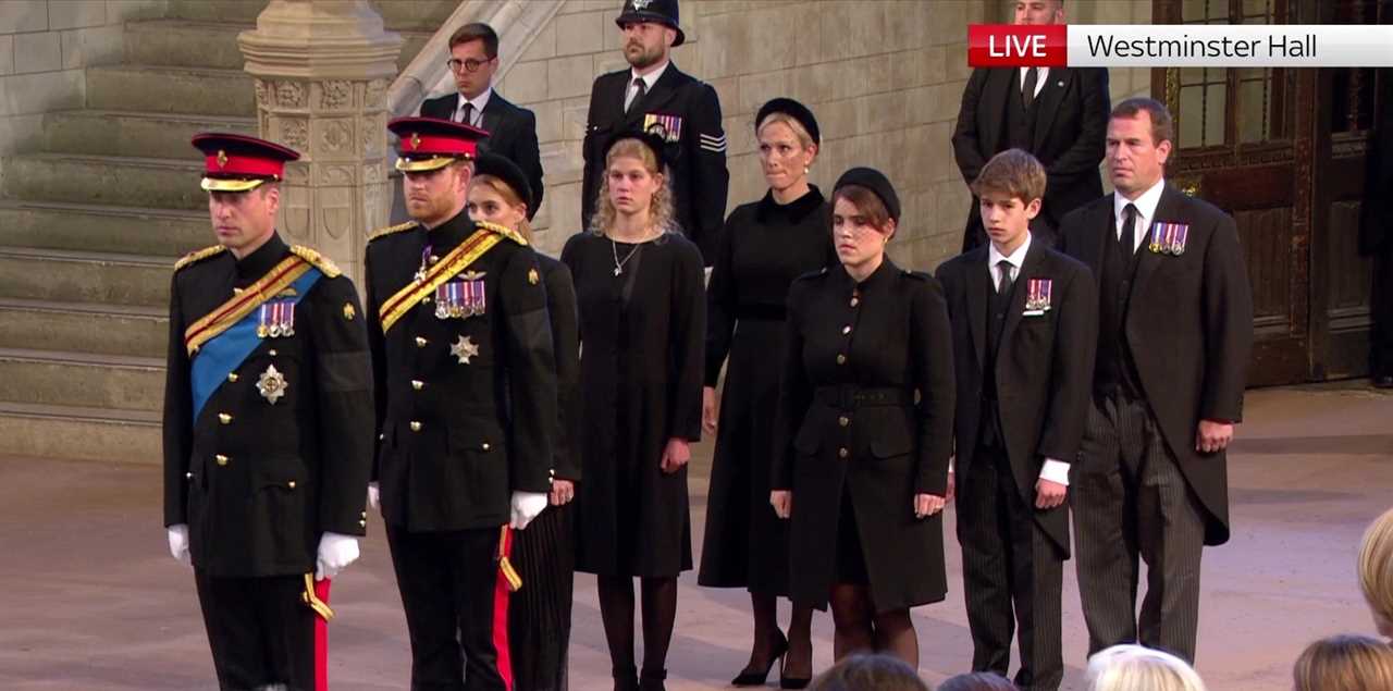 Prince Harry finally gets to wear military uniform as he guards Queen coffin with William and her other grandchildren