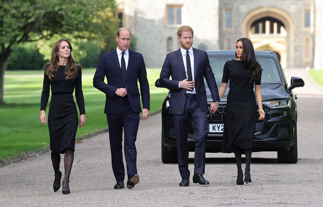 Prince Harry finally gets to wear military uniform as he guards Queen coffin with William and her other grandchildren