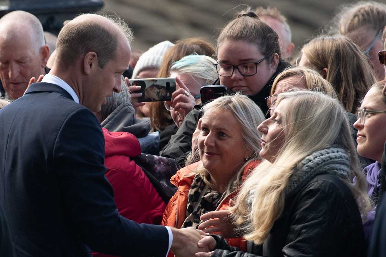 Prince Harry finally gets to wear military uniform as he guards Queen coffin with William and her other grandchildren