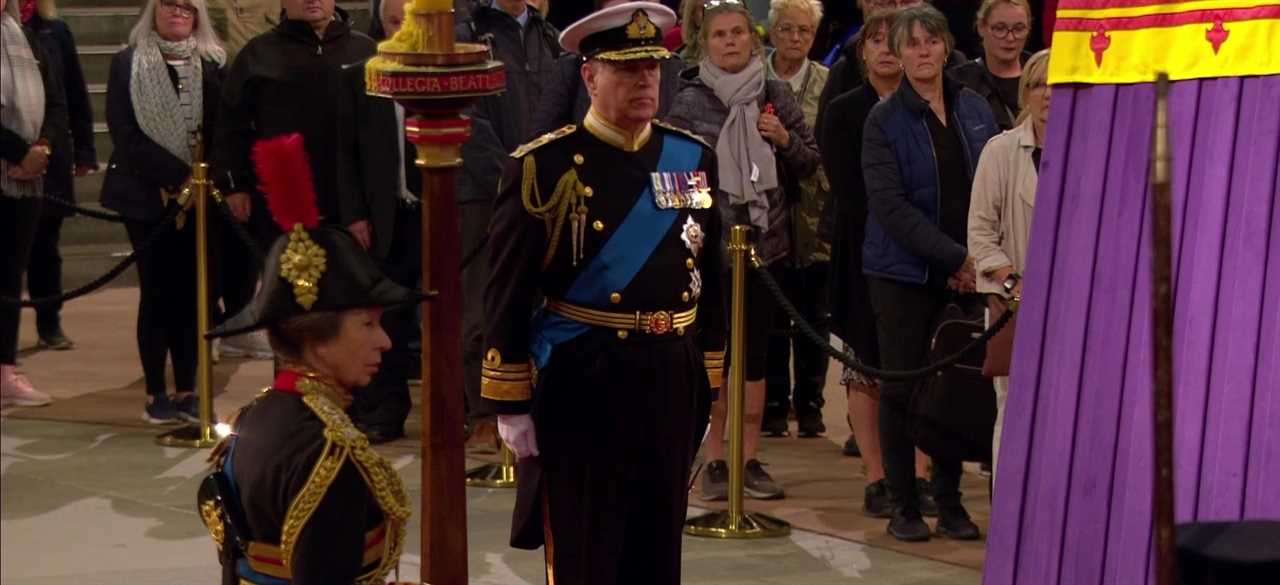 Prince Harry finally gets to wear military uniform as he guards Queen coffin with William and her other grandchildren