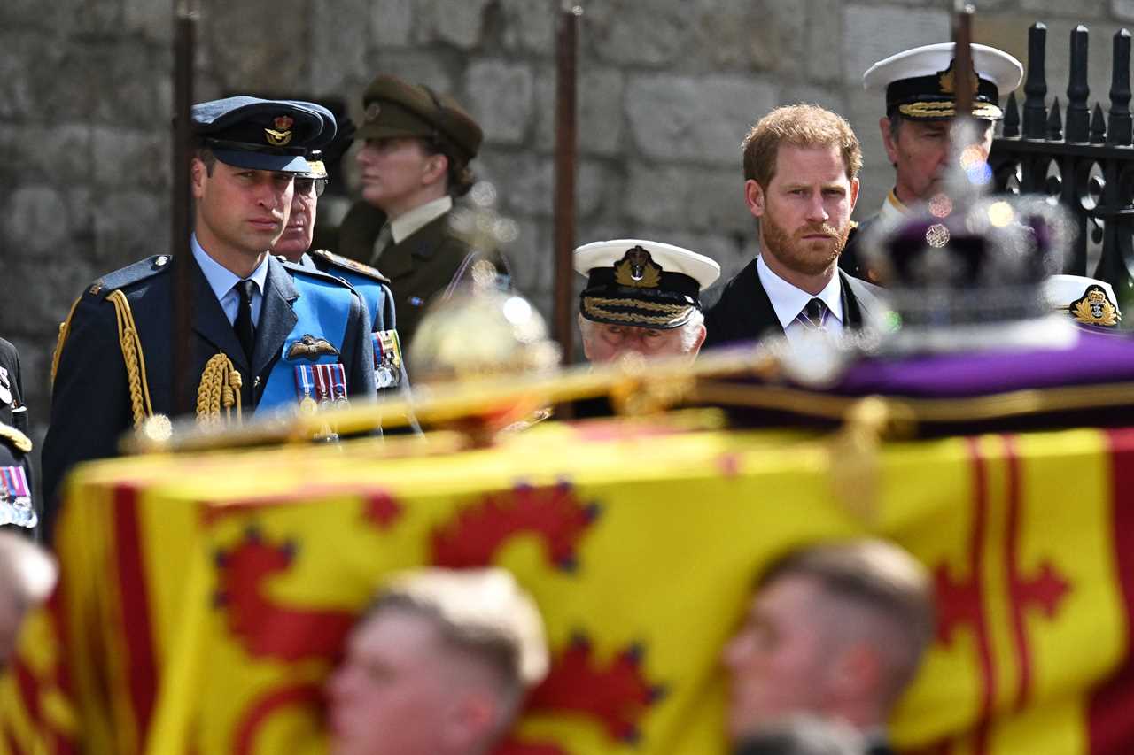 ‘Emotionally-broken’ Prince Harry showed he wanted more ‘active’ funeral role with one gesture, body language pro claims