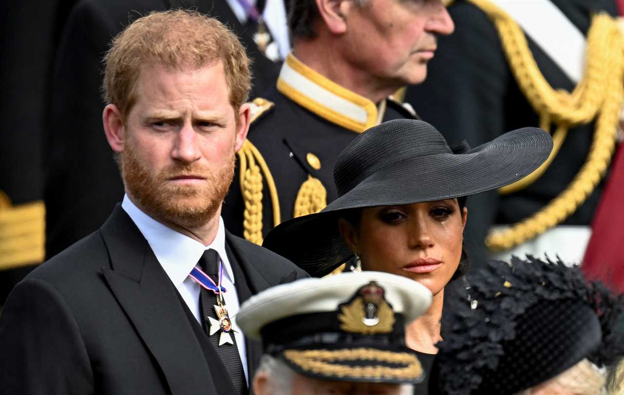 Royal family united in grief as Prince Harry, Meghan, Sophie Wessex and Prince George all shed tears at Queen’s funeral