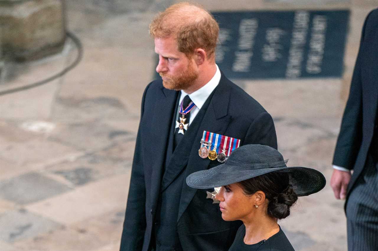 Royal family united in grief as Prince Harry, Meghan, Sophie Wessex and Prince George all shed tears at Queen’s funeral