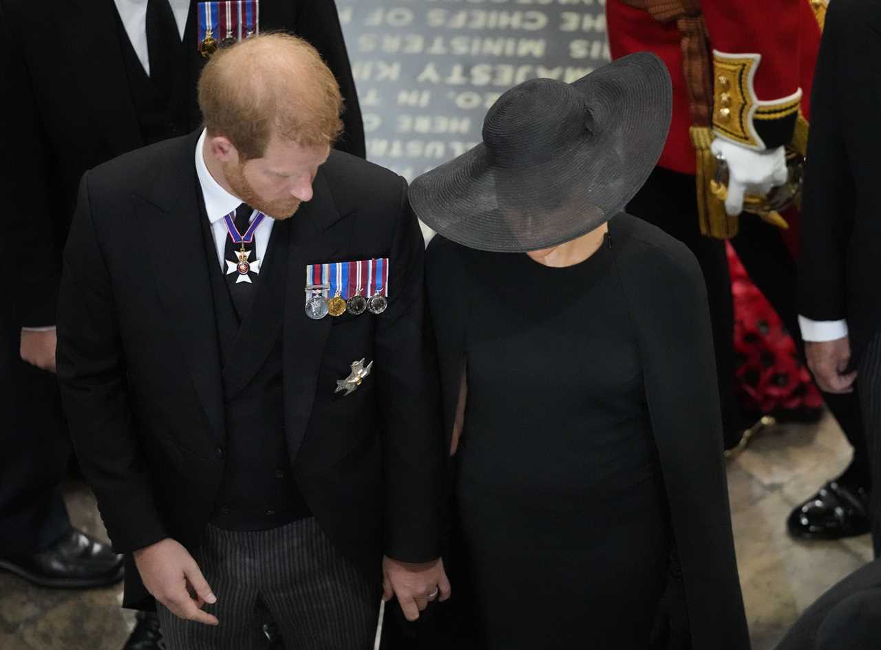 Royal family united in grief as Prince Harry, Meghan, Sophie Wessex and Prince George all shed tears at Queen’s funeral