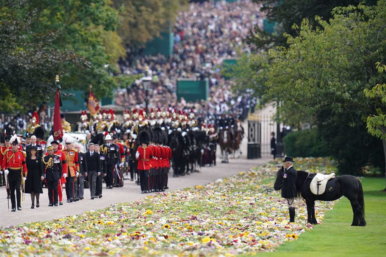 Royal fans are saying the same thing about Lady Louise after being left emotional about the Queen’s horse Emma