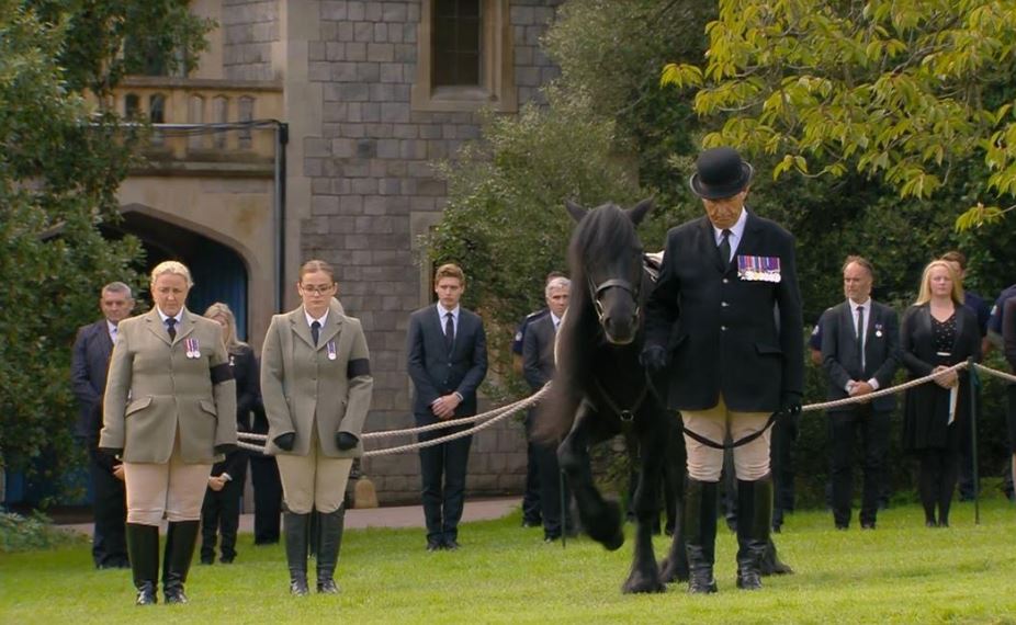 Royal fans are saying the same thing about Lady Louise after being left emotional about the Queen’s horse Emma