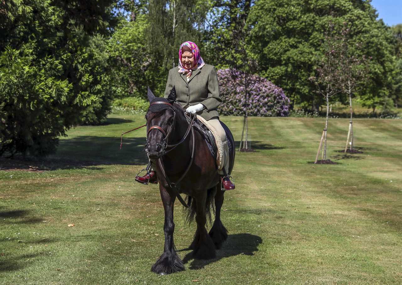 Royal fans are saying the same thing about Lady Louise after being left emotional about the Queen’s horse Emma