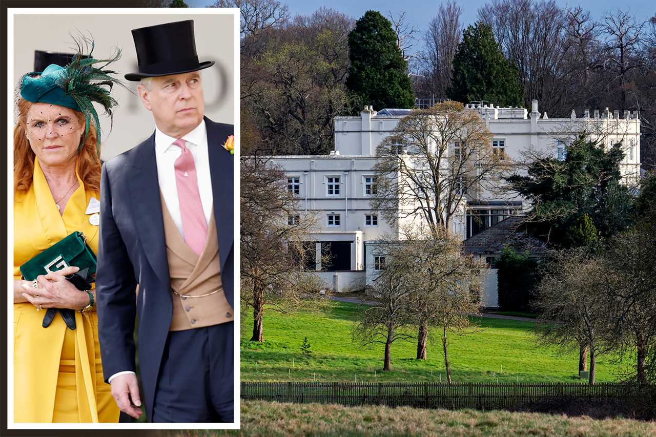 Prince Andrew ‘lobbied hard’ to stop Charles from becoming king, explosive book claims