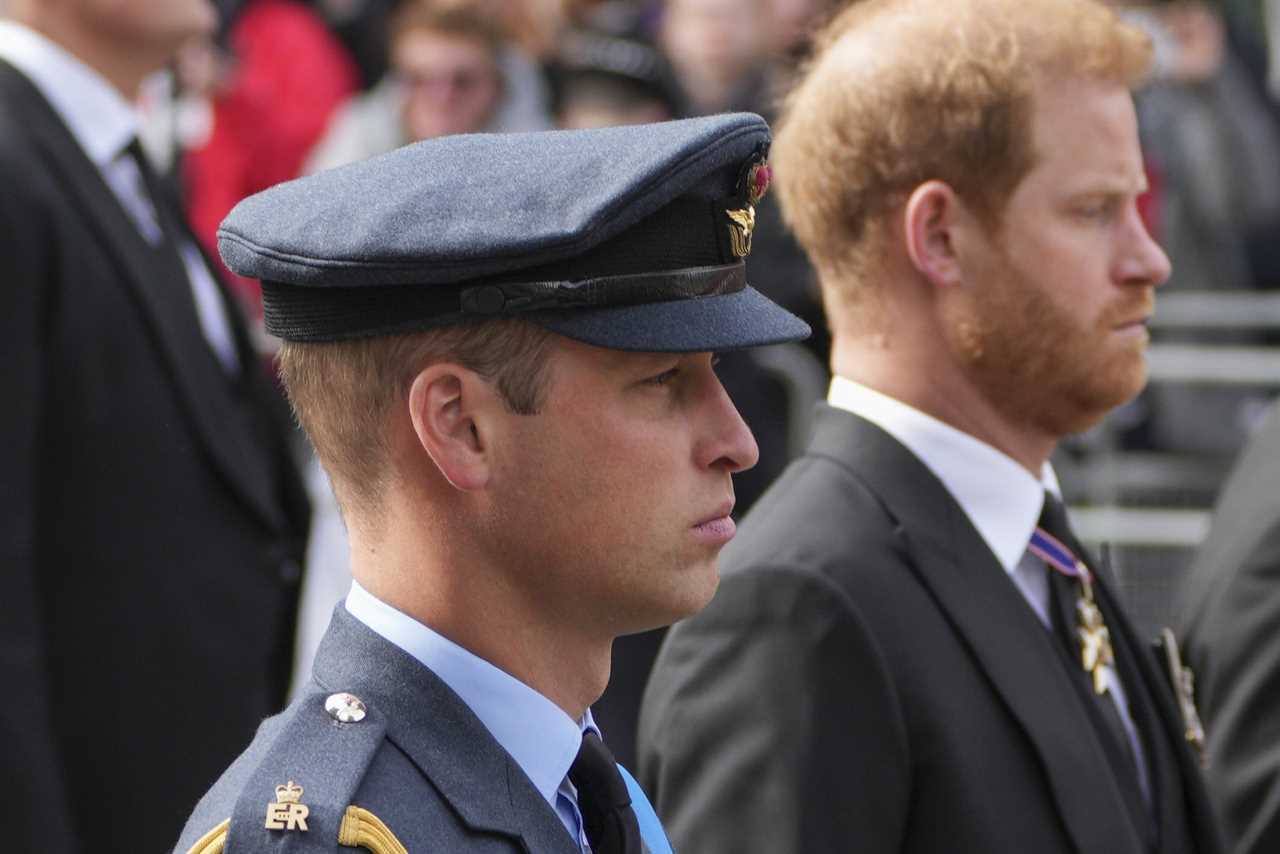 ‘Grief-stricken’ Prince Harry displayed ‘regret’ in glance at Prince William during funeral, body language expert claims
