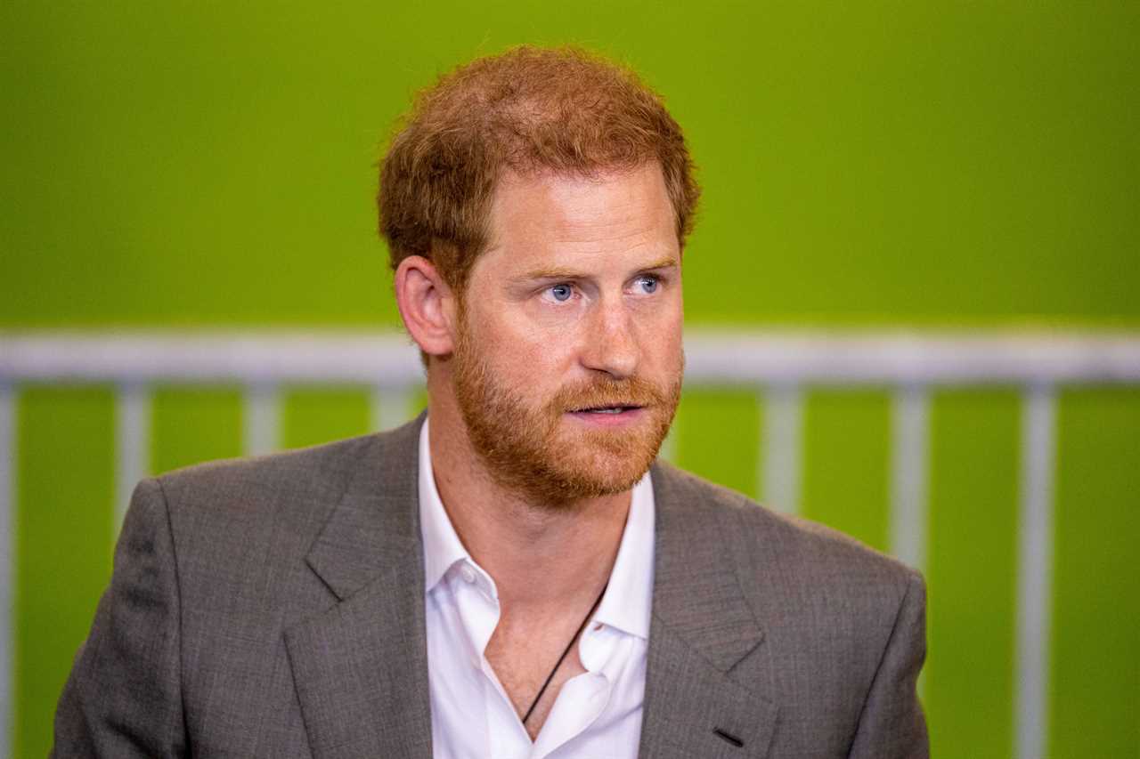 Prince Harry ‘feared he would become irrelevant when nephew George turned 18 & left like Andrew with no job in his 60s’