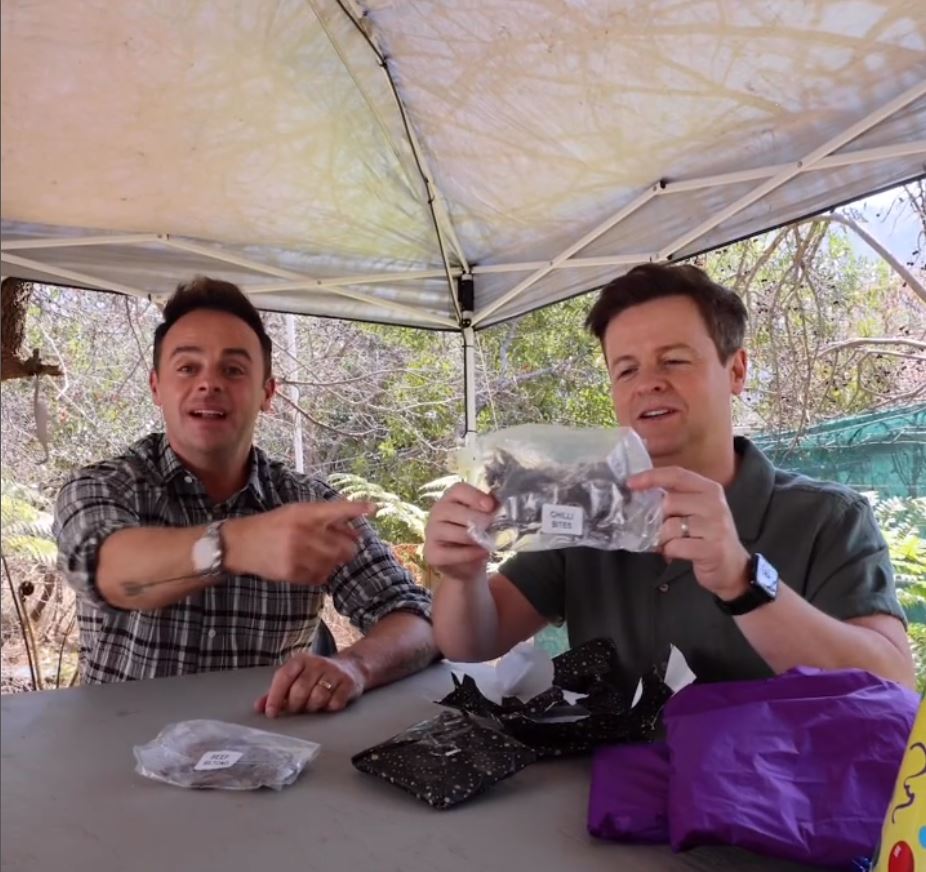 Ant and Dec give first glimpse of I’m A Celeb South Africa as they celebrate Dec’s birthday