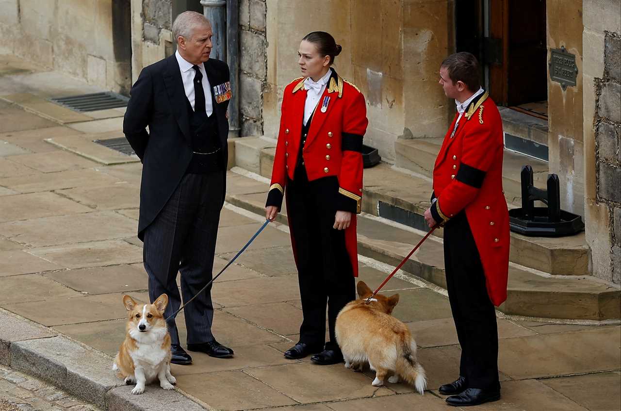 Prince Andrew relegated to ‘dogwalker in chief’ under Charles as he faces being frozen out of royal life, say experts