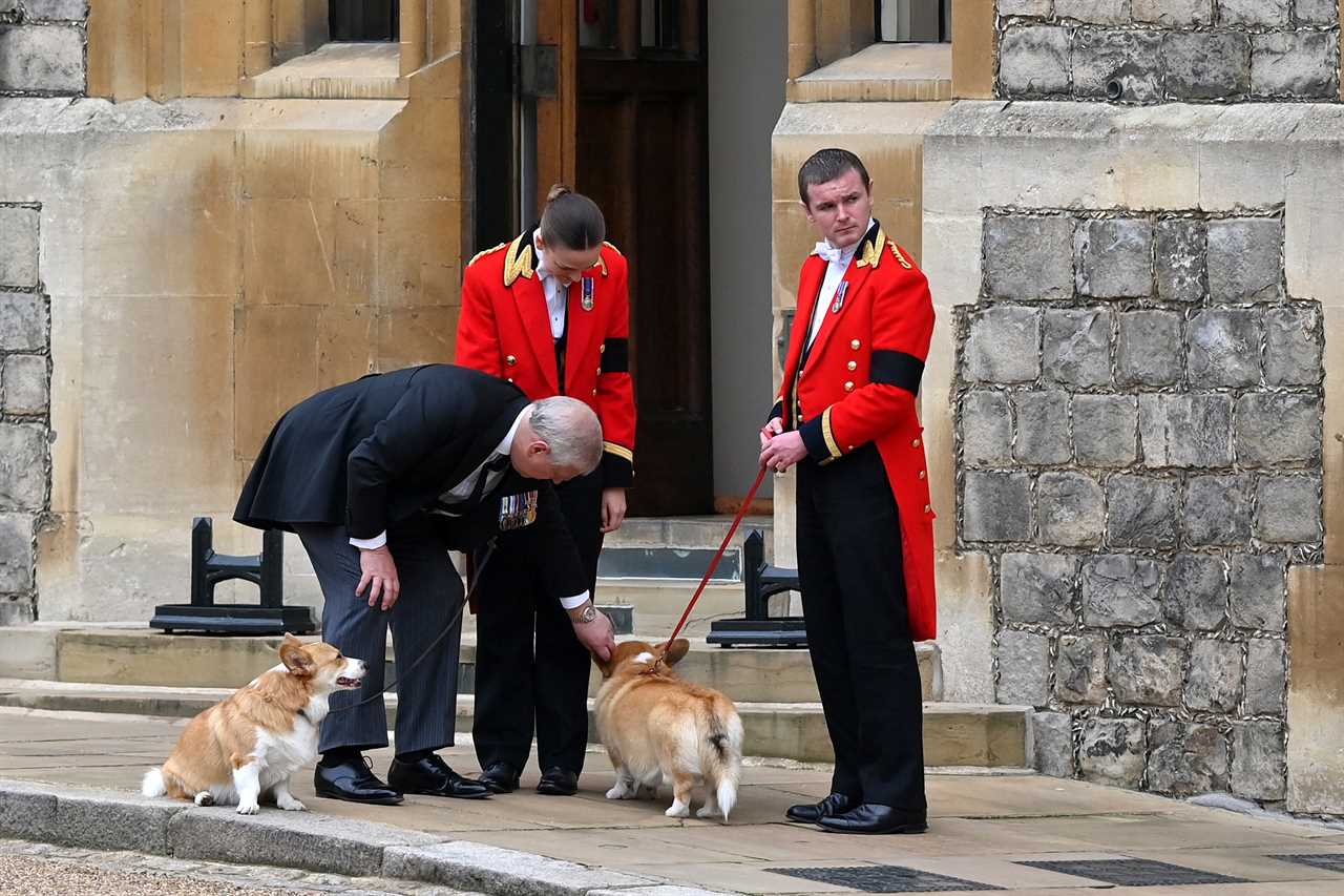 Prince Andrew relegated to ‘dogwalker in chief’ under Charles as he faces being frozen out of royal life, say experts