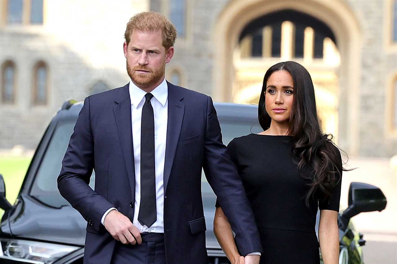 Meghan Markle and Prince Harry ‘worried’ they’re being edged out of Royals after telling change, royal expert claims