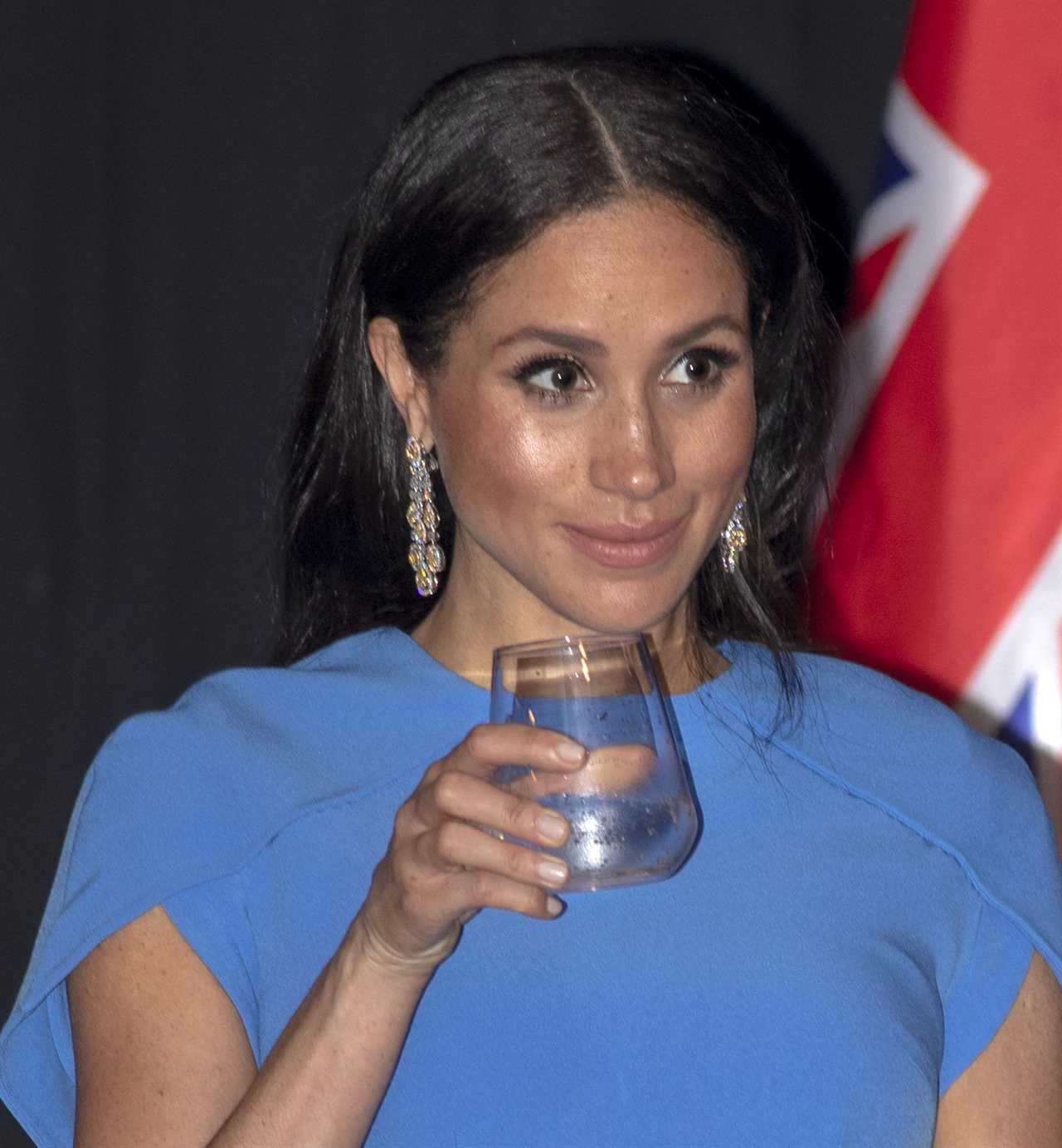 Meghan Markle & Prince Harry’s staff were ‘too scared to confront them over her bloodsoaked diamond earrings’