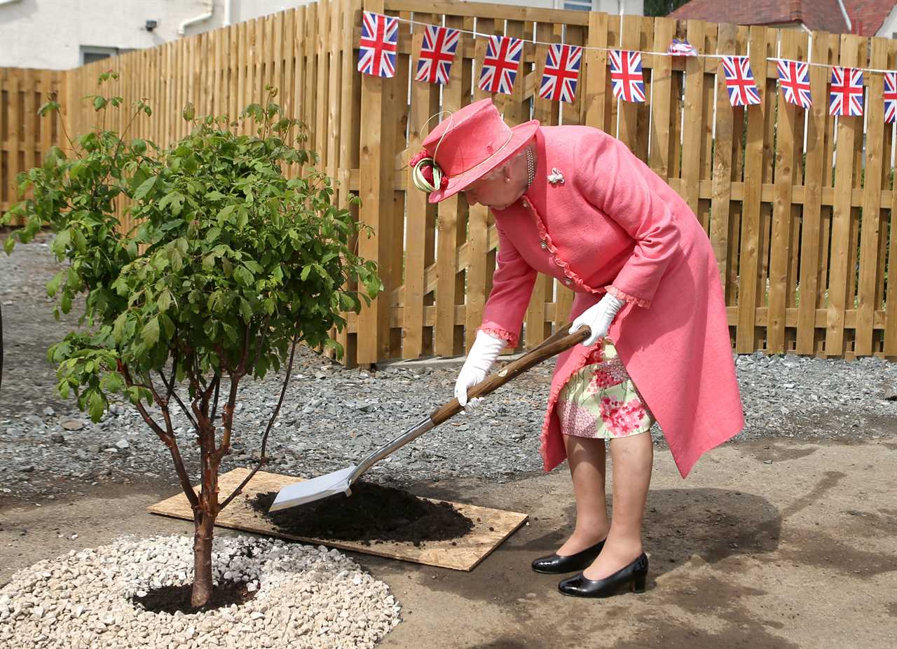 Trees from Platinum Jubilee will be planted across UK to honour The Queen