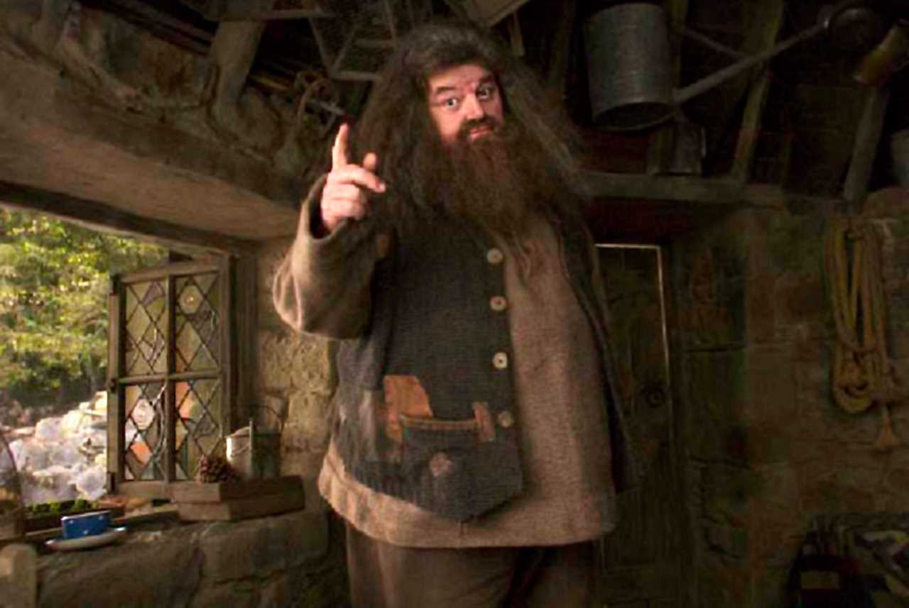 Harry Potter author J.K Rowling leads tributes to Hagrid star Robbie Coltrane as he dies age 72