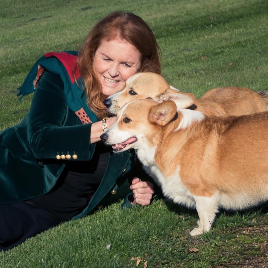 Sarah Ferguson poses with Queen’s corgis for first time since they moved in with Duchess and Prince Andrew