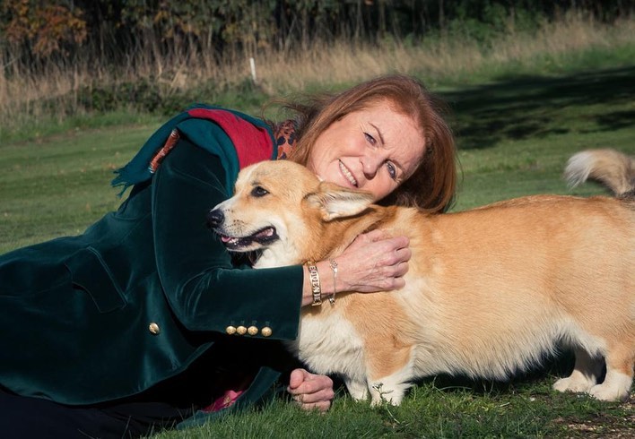 Sarah Ferguson poses with Queen’s corgis for first time since they moved in with Duchess and Prince Andrew