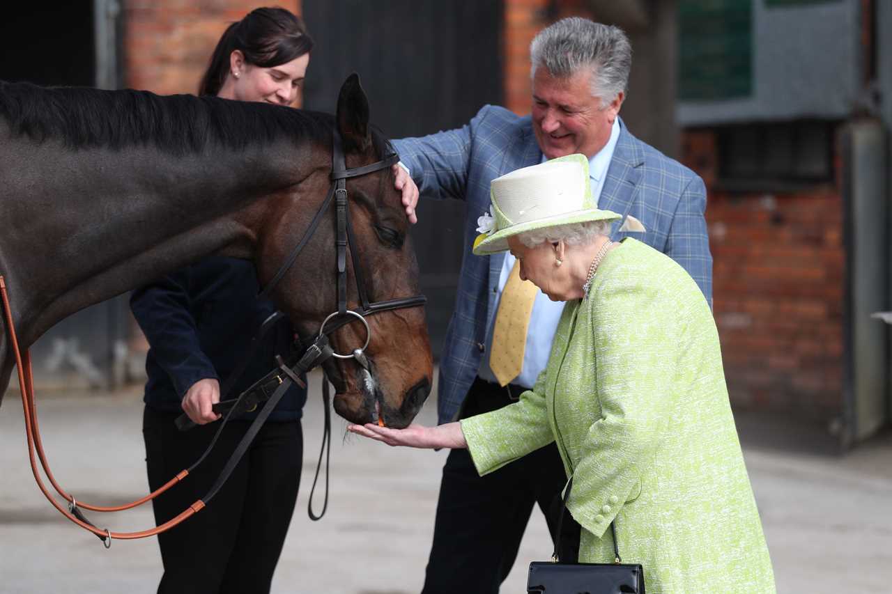 King Charles to sell 12 of the Queen’s favourite top racehorses as he starts to cut down her racing operation