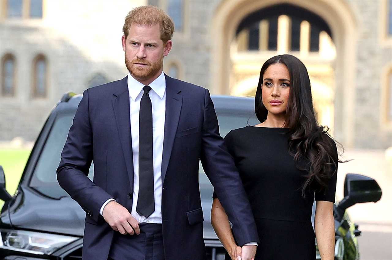 Meghan Markle is ‘biting the hand that fed her’ by ‘playing dumb blonde roles and then slamming them’, expert says