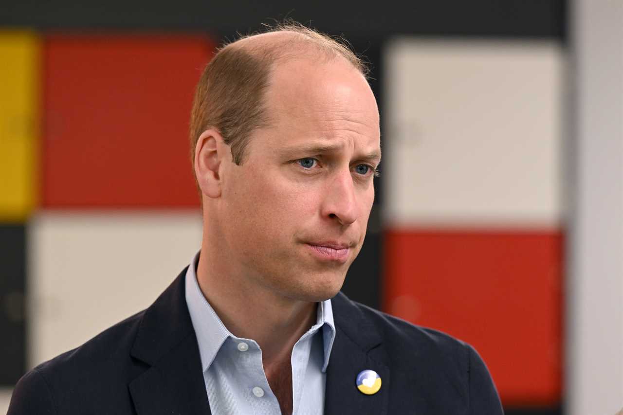 Prince William ‘has barely spoken to Harry after news of upcoming memoir’ as family wait on ‘tenterhooks’ to read it
