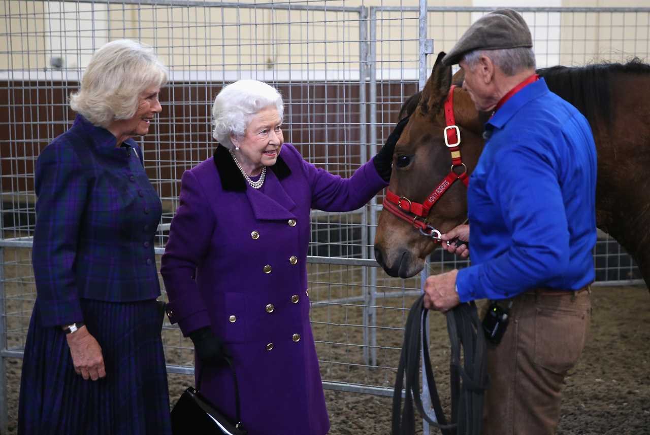 I was ‘The Queen’s cowboy’ and trained dozens of her horses – why King Charles’ plans for them will be very different
