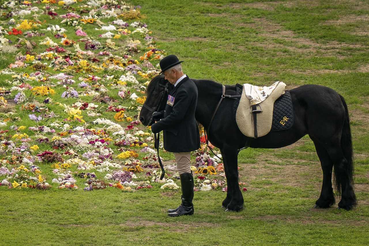 I was ‘The Queen’s cowboy’ and trained dozens of her horses – why King Charles’ plans for them will be very different