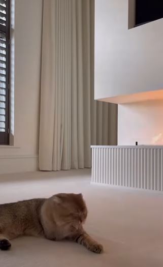 Molly-Mae Hague shows off incredible bedroom fireplace at £3.5m mansion