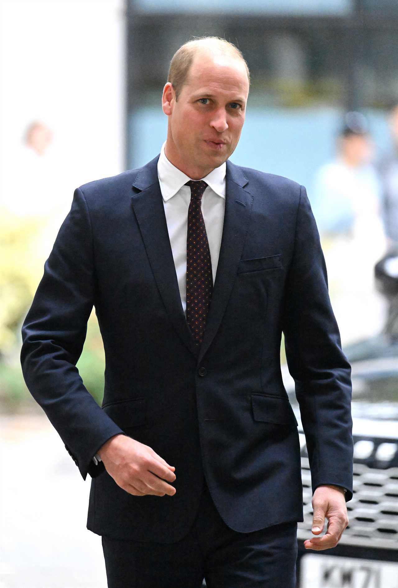 Where did Prince William go to school and what did he study at university?