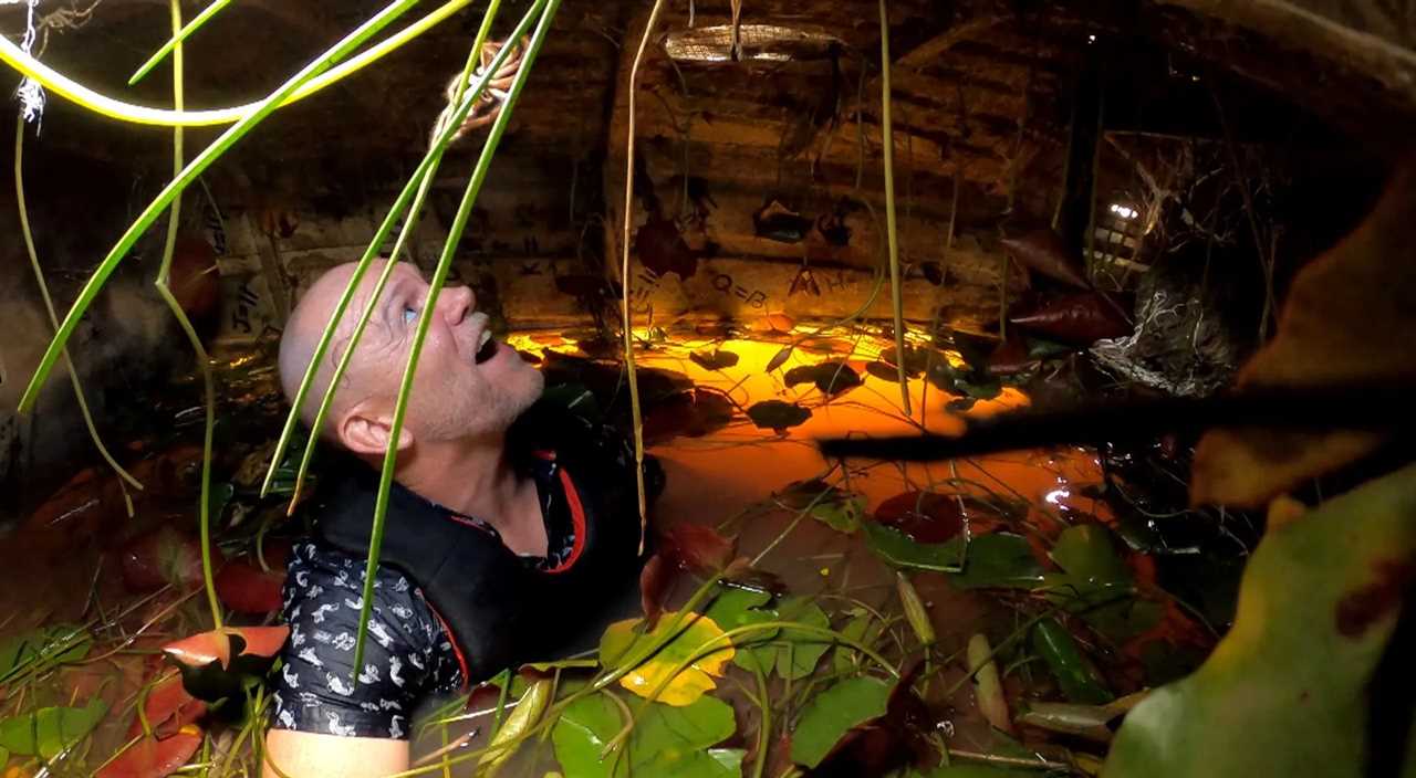 I’m A Celeb’s Mike Tindall ends up with spider on his head as he’s submerged in water for Critter Cruise Challenge