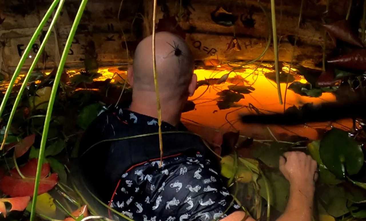 I’m A Celeb’s Mike Tindall ends up with spider on his head as he’s submerged in water for Critter Cruise Challenge