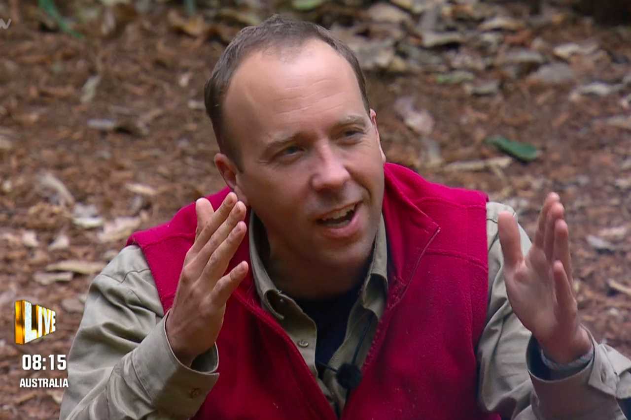 Matt Hancock should quit I’m A Celeb and donate entire fee to charity, say TV stars