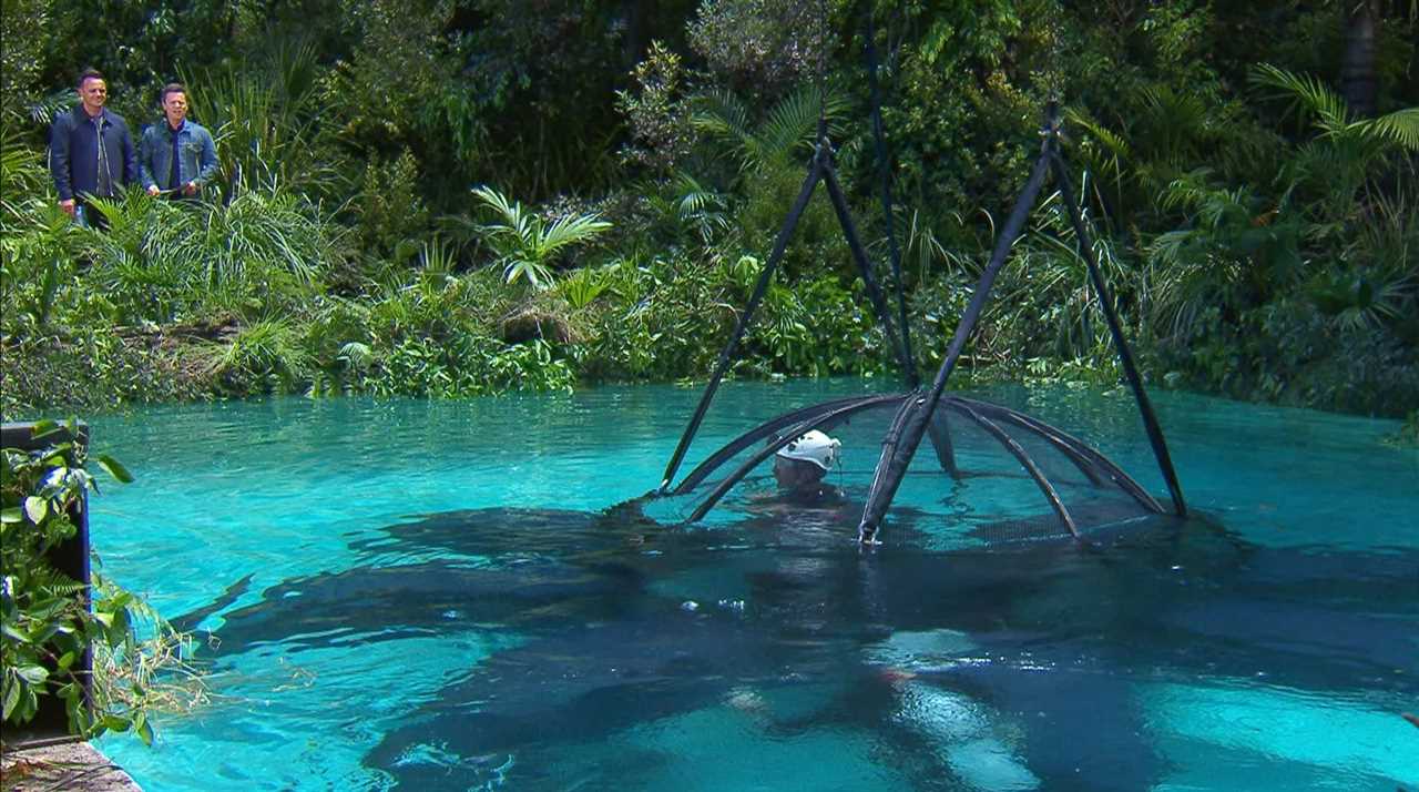 I’m A Celebrity first look: Panicked Matt Hancock dives into pool of crabs as he takes on brutal second task