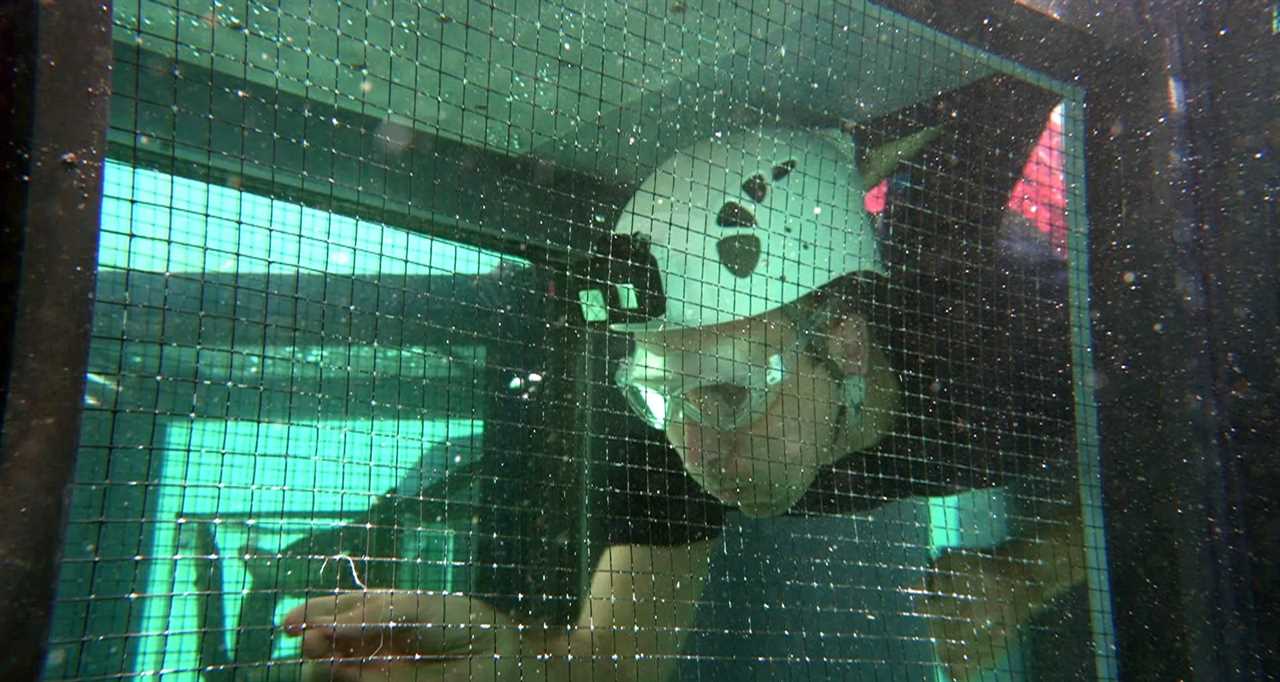 I’m A Celebrity first look: Panicked Matt Hancock dives into pool of crabs as he takes on brutal second task