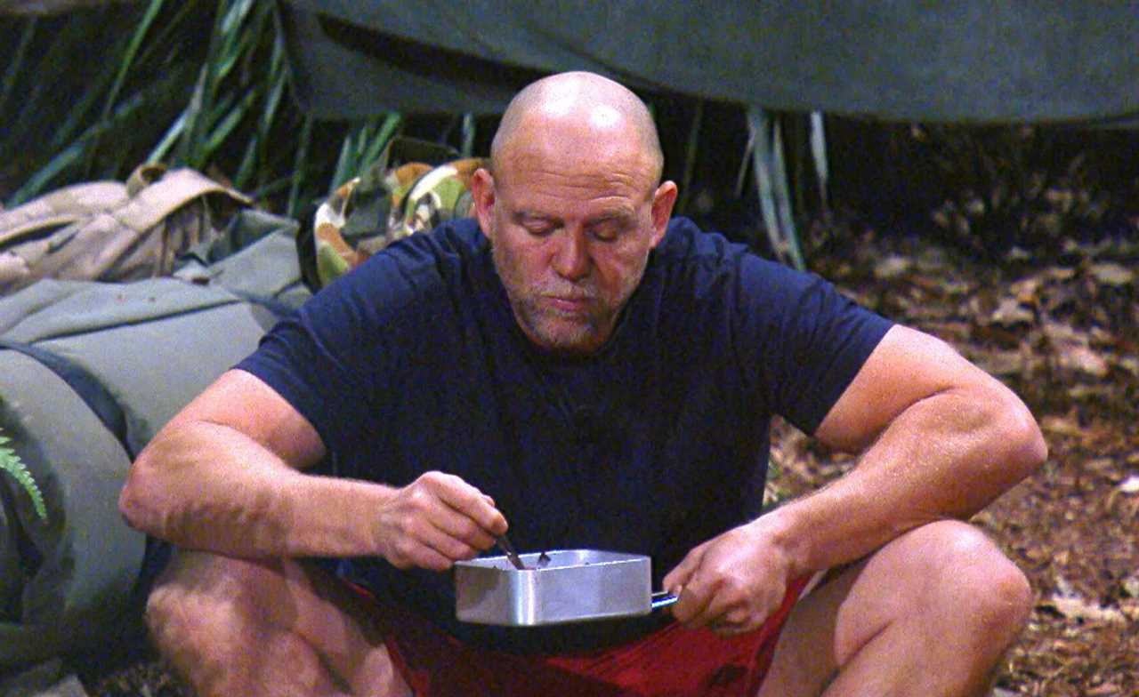 Mike Tindall’s big I’m A Celeb pay check is no different to Harry cashing in on commercial deals, royal expert claims