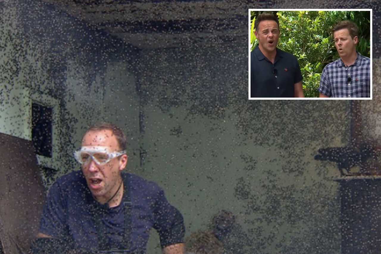 Matt Hancock rushed to see medic after being bitten by venomous scorpion on I’m A Celebrity