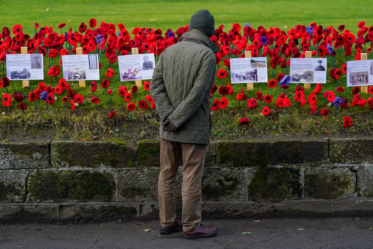 Prince Harry tells kids who’ve lost a parent they share a bond on  Remembrance Day