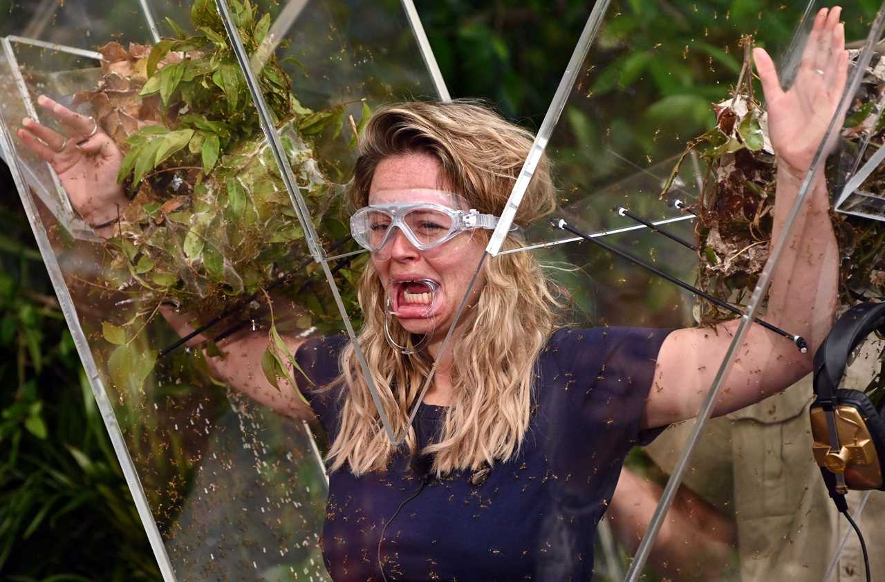 I’m A Celeb fans reveal theory that Ant and Dec are furious about Matt Hancock in the jungle