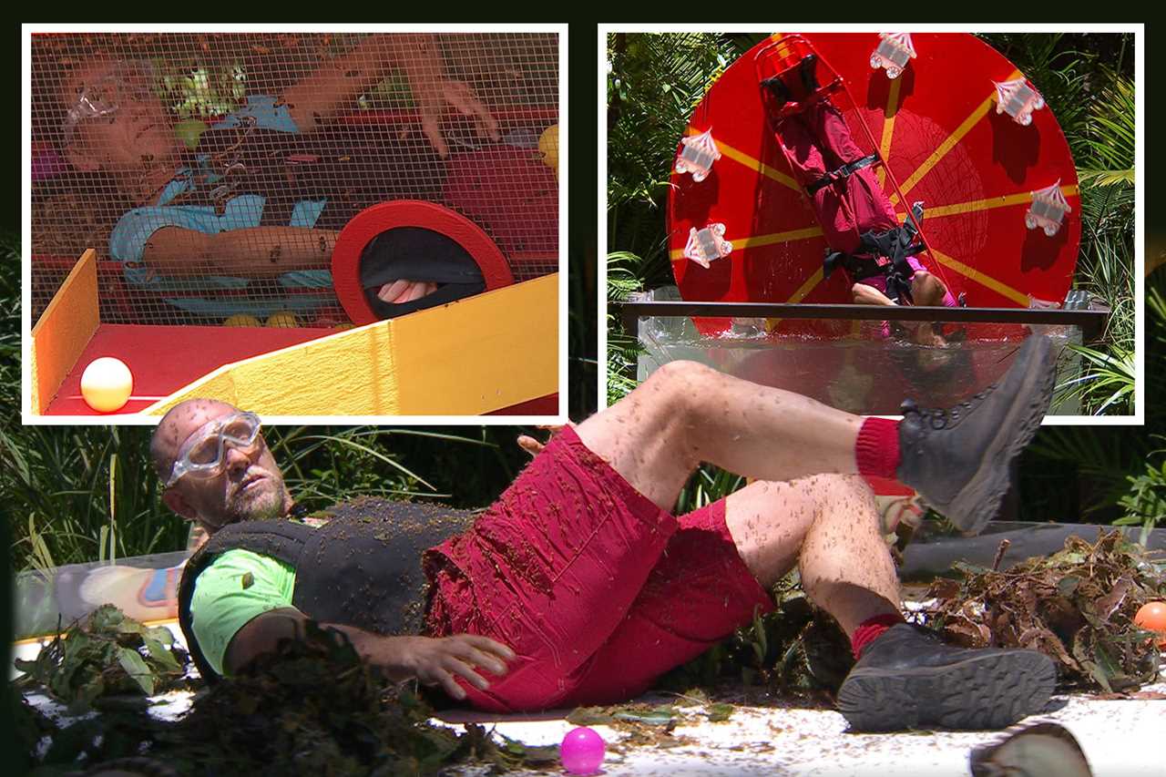 I’m A Celeb’s Matt Hancock, Jill Scott and Sue Cleaver enjoy surf and turf BBQ on the beach after winning task