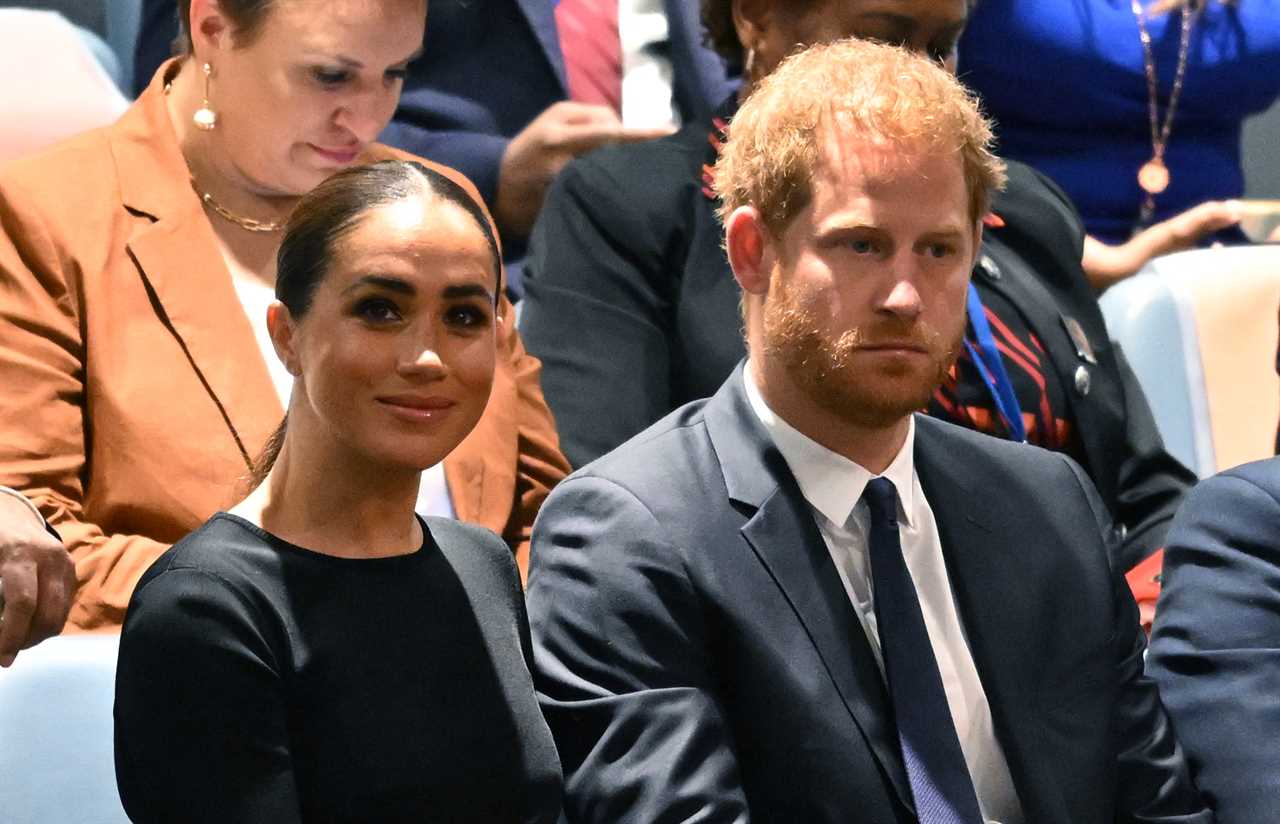 Heroic anti-racism campaigners? Meghan Markle & Prince Harry are a pair of greedy little grifters who ditched royal duty