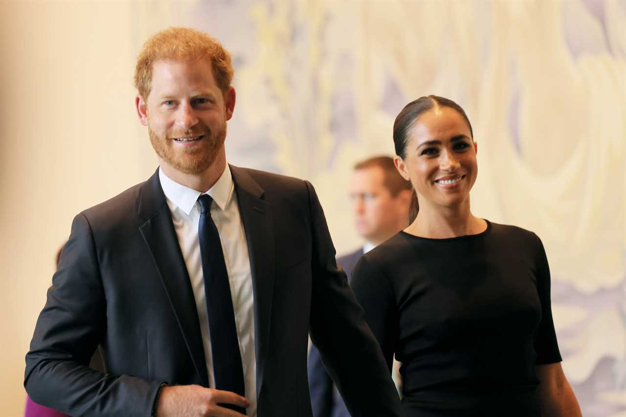 Prince Harry gushes ‘thanks for being a friend to my mum and kids’ in message to Elton John with Meghan Markle