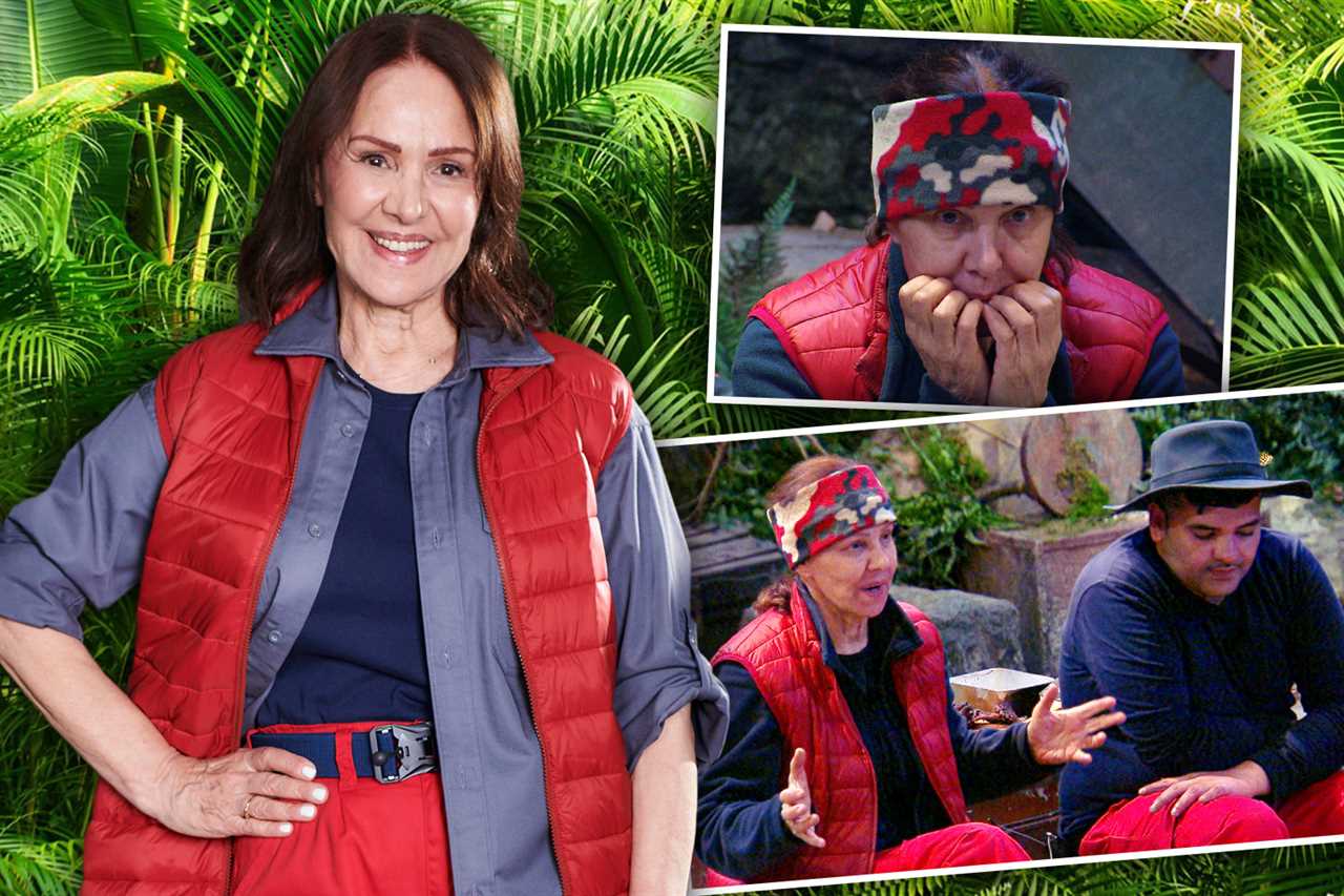 I’m A Celebrity’s biggest bad boys who used show to cash in after sex tape shame, cheating scandals and soap sackings